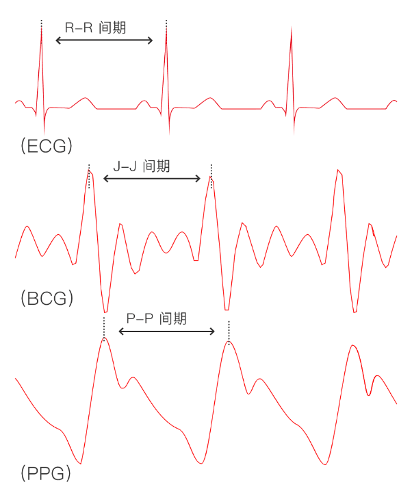 体征监测原理之BCG Vs HRV(图3)